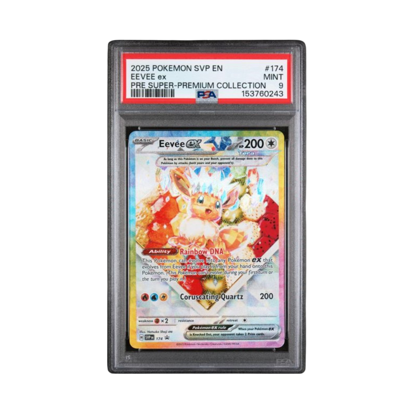 2025 POKEMON SVP EN-SV BLACK STAR PROMO #174 EEVEE ex PRE SUPER-PREMIUM COLLECTION (Copy)